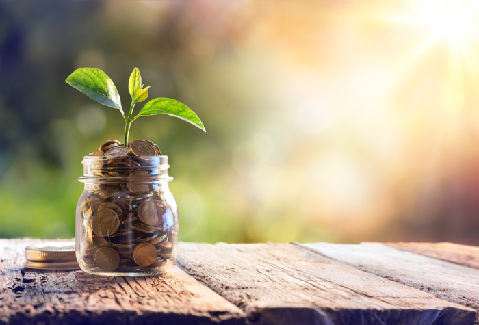 10 estrategias efectivas para ahorrar dinero en tu vida diaria ...